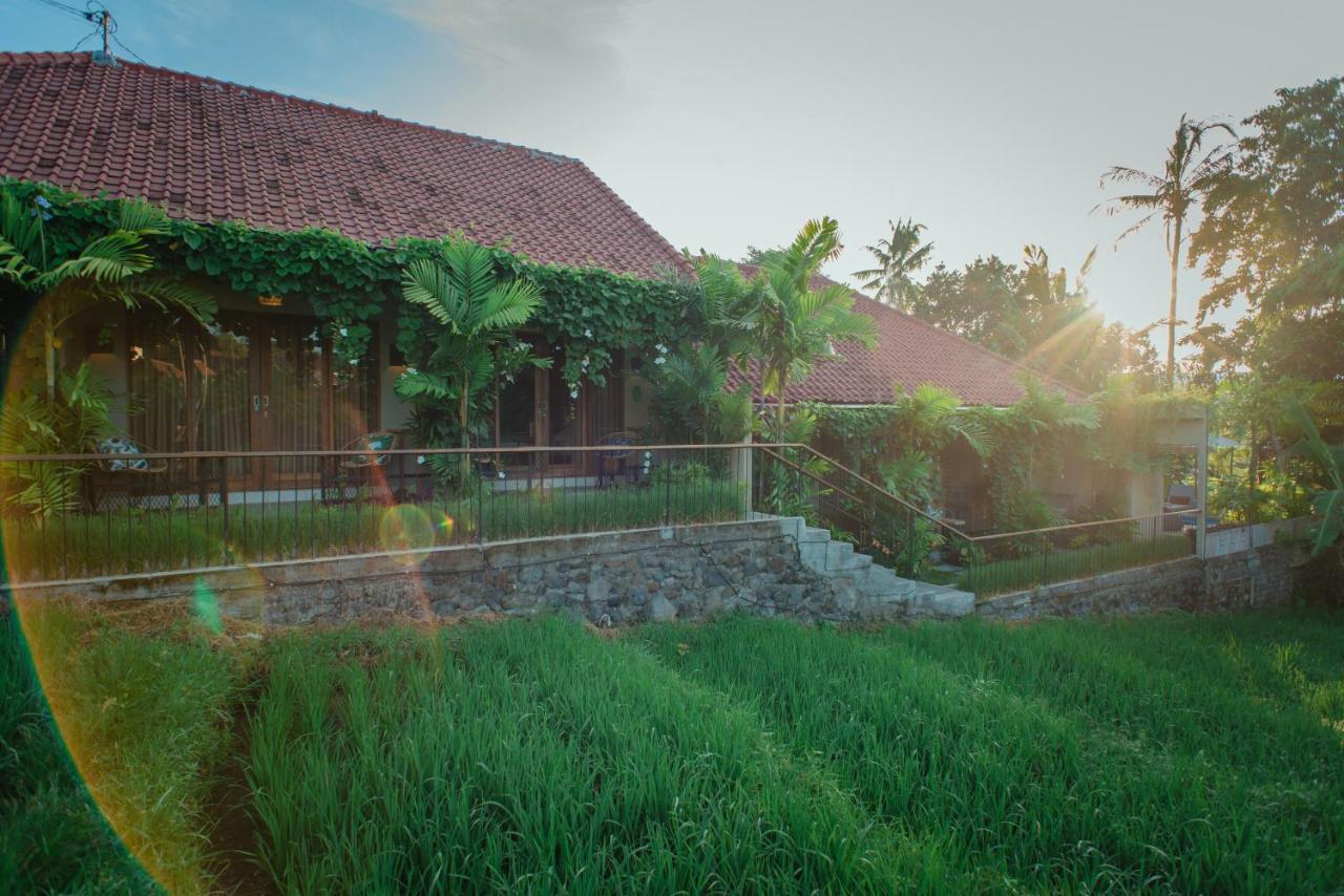 Pangkung Sari Bed And Breakfast Canggu Dış mekan fotoğraf