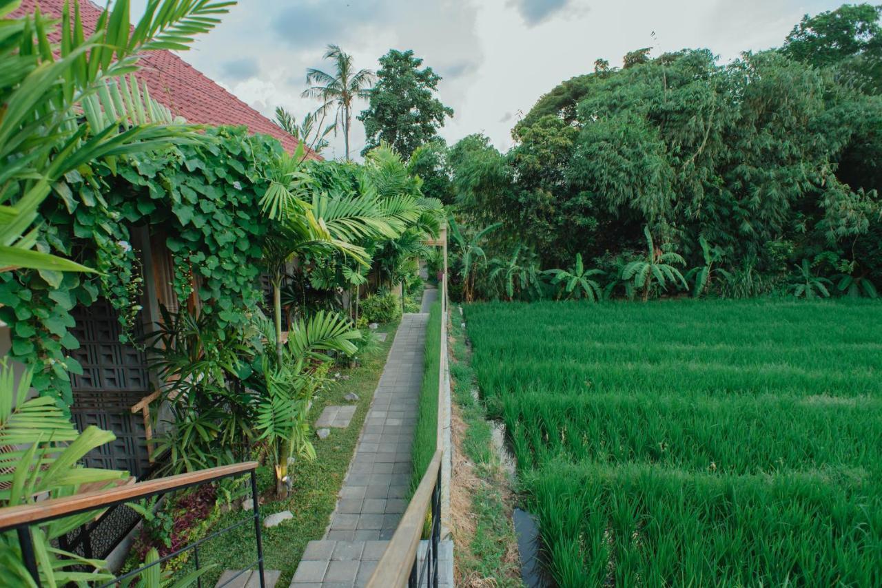 Pangkung Sari Bed And Breakfast Canggu Dış mekan fotoğraf